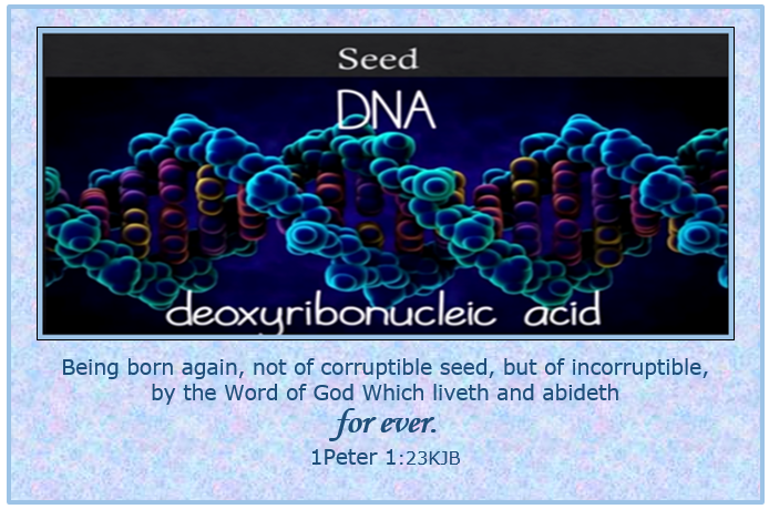 1Peter1_23KJB.png