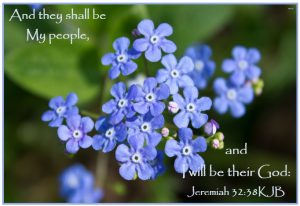 Jeremiah 32_38KJB.png